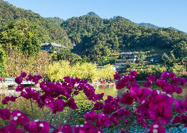 《桃花》特種郵票將在永春北溪文苑首發