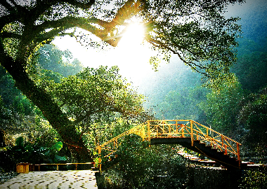 北溪十二景之古榕初日